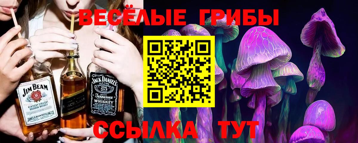 Псилоцибиновые грибы ЛСД  Галлюциногенные грибы Cubensis  Истра  Вход с VPN 