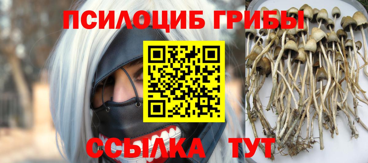 Галлюциногенные грибы GOLDEN TEACHER Истра
