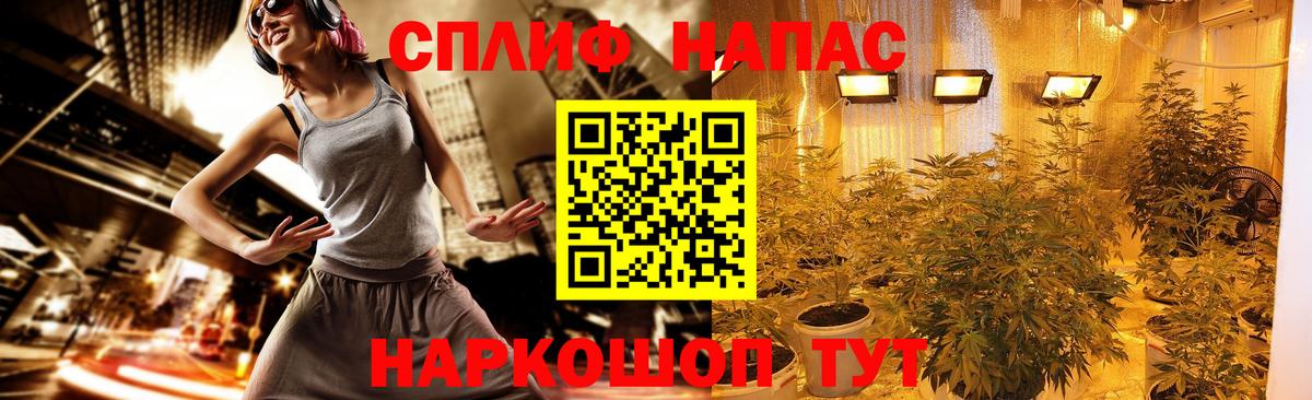 Канабис сатива Истра